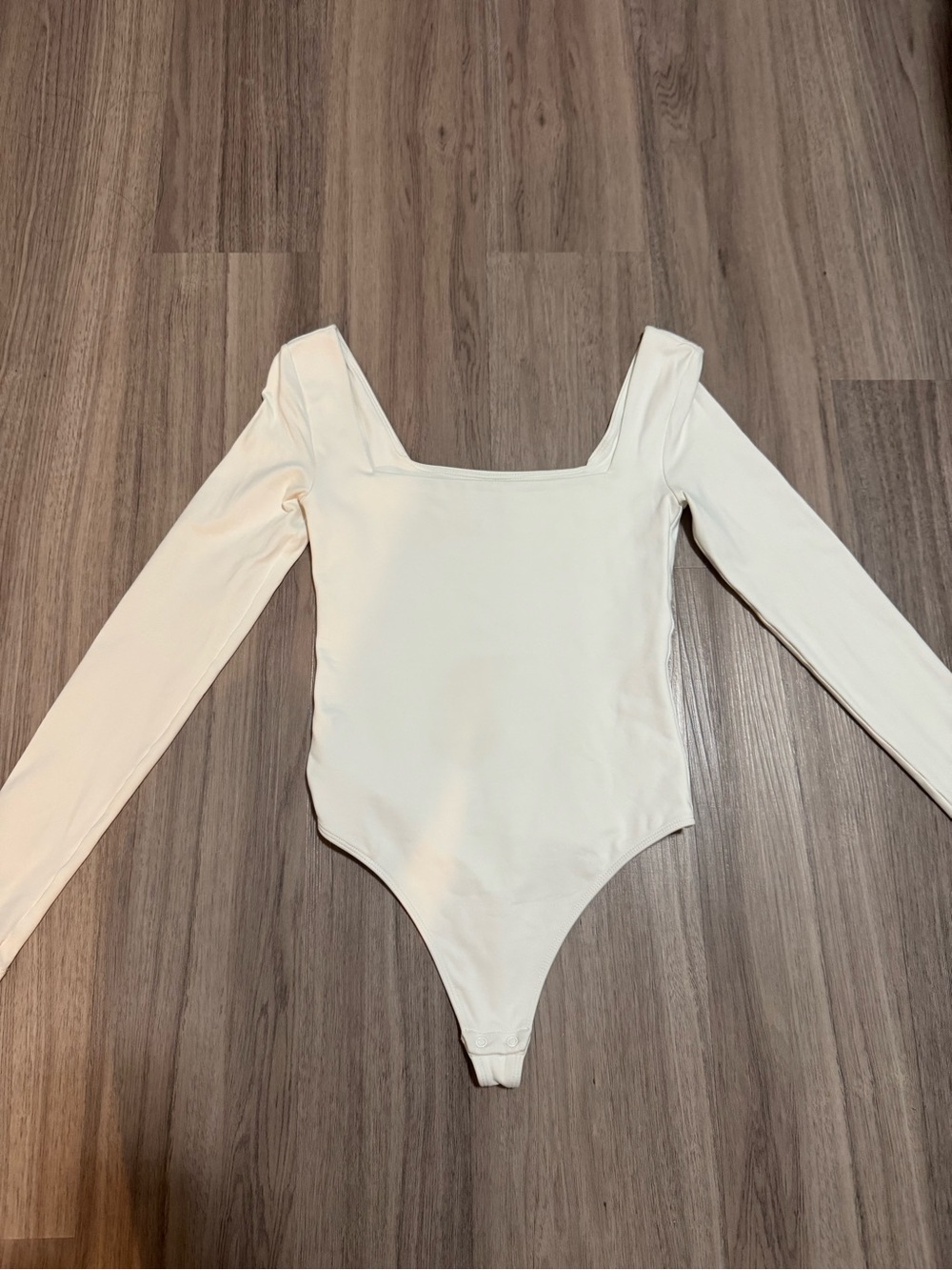 Aritzia long sleeve babaton bodysuit